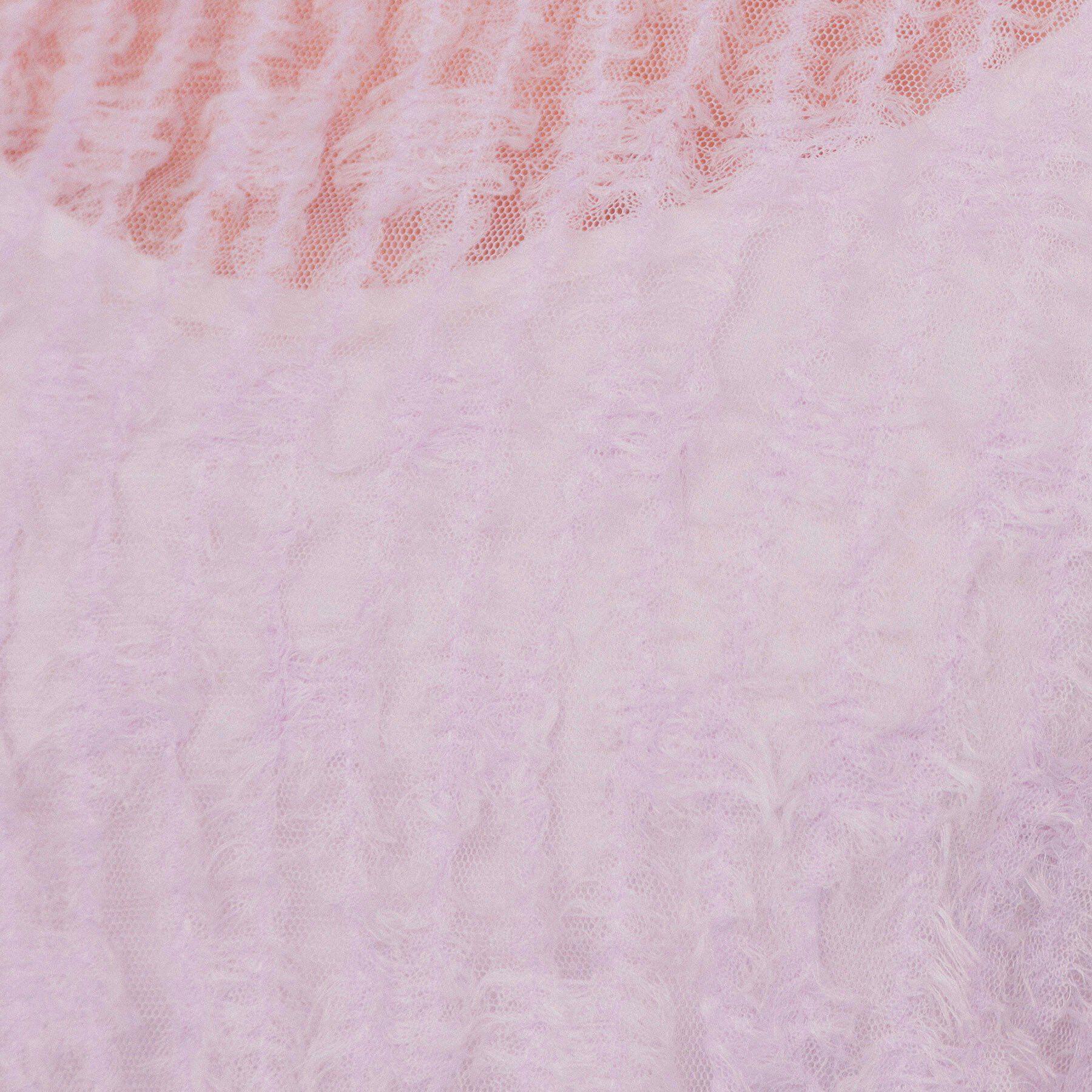 index「チュールフリンジシアートップス【洗える】」|Tシャツ・カットソー|