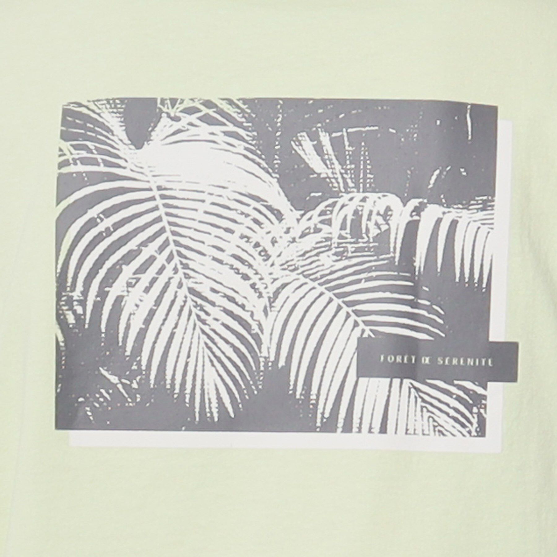 THE SHOP TK「【Begin6月号掲載】オーガニックコットンプリント半袖Tシャツ」|Tシャツ・カットソー|