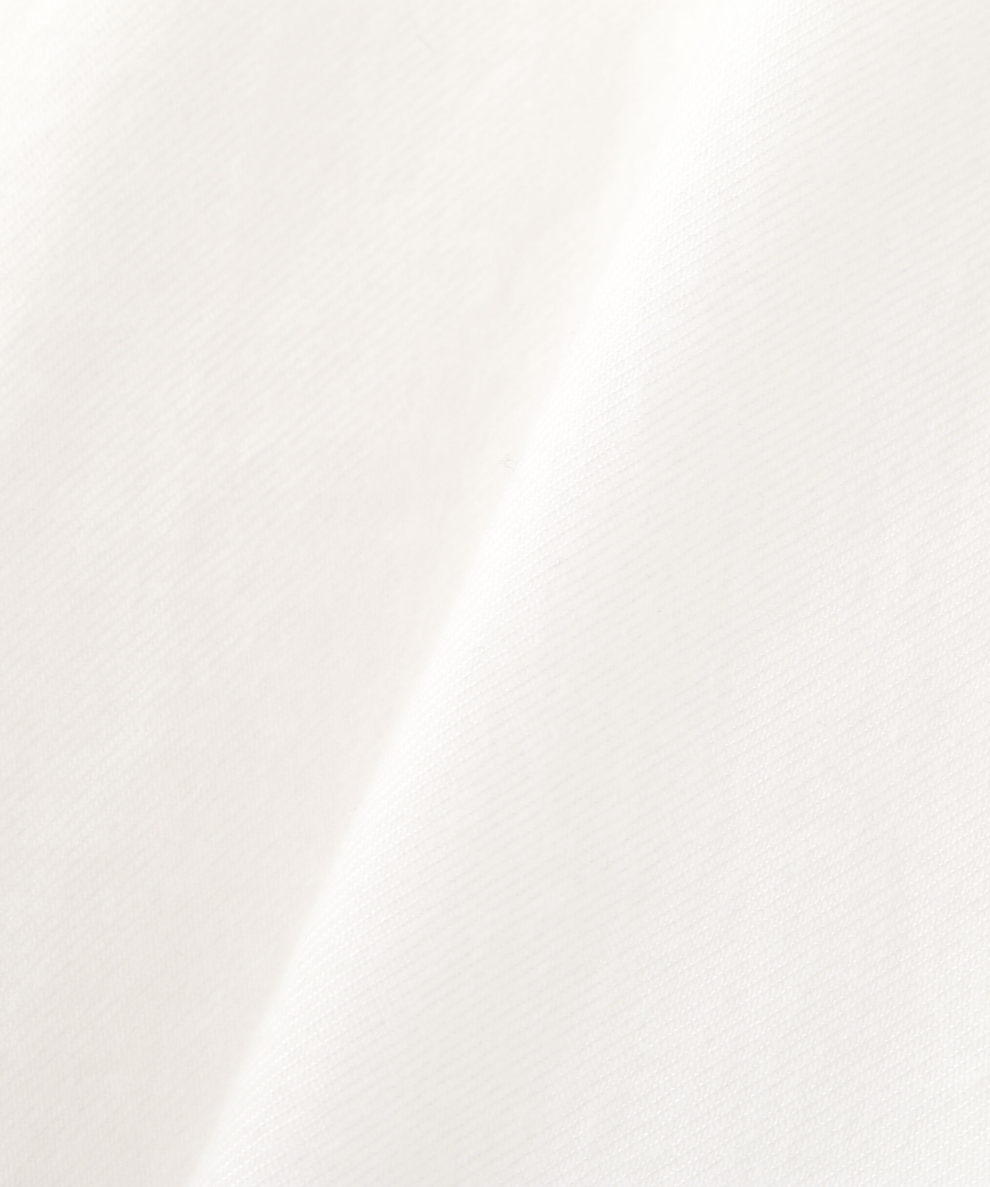 YLEVE 「Ｙ /  BRUSHED ORGANIC COTTON TENCEL SNAP SHIRT」|シャツ・ブラウス|