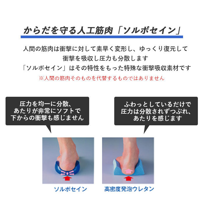 BACKYARD FAMILY「ソルボ サポーター 通販 ソルボ楽らく腰ガード ソルボセイン 腰サポーター スポーツ 女性 薄型」|その他|