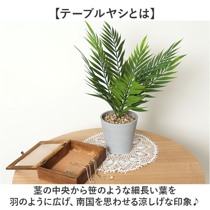 BACKYARD FAMILY「観葉植物 フェイク 大型 通販 フェイクグリーン ヤシ アーティフィシャルグリーン」|その他|