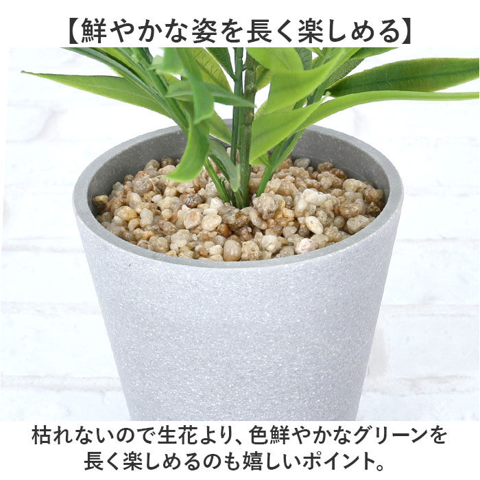 BACKYARD FAMILY「観葉植物 フェイク 大型 通販 フェイクグリーン ヤシ アーティフィシャルグリーン」|その他|