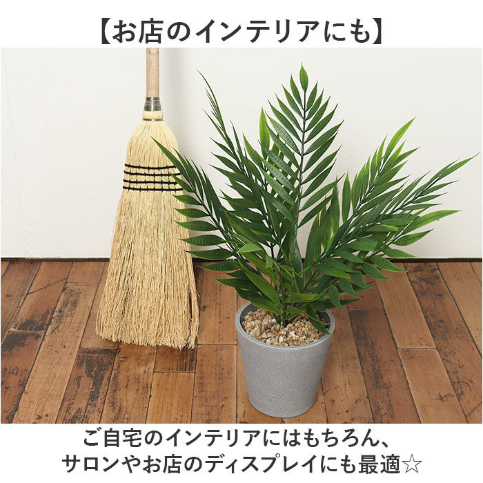 BACKYARD FAMILY「観葉植物 フェイク 大型 通販 フェイクグリーン ヤシ アーティフィシャルグリーン」|その他|
