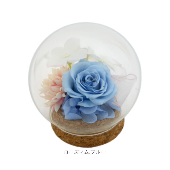 BACKYARD FAMILY「プリザーブドフラワー ガラスドーム 通販 ブリザーブドフラワー フラワーギフト 花」|その他|