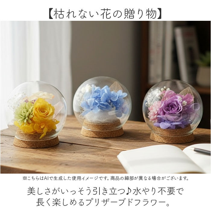 BACKYARD FAMILY「プリザーブドフラワー ガラスドーム 通販 ブリザーブドフラワー フラワーギフト 花」|その他|