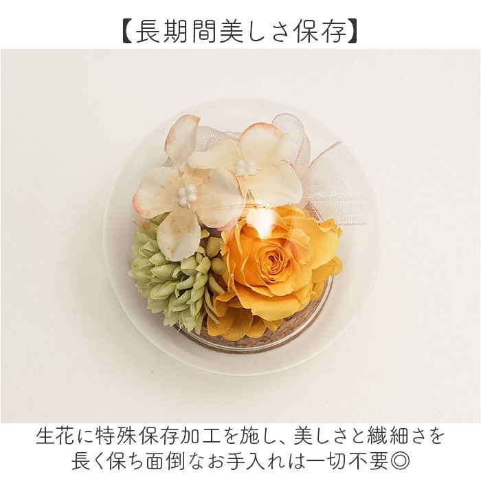 BACKYARD FAMILY「プリザーブドフラワー ガラスドーム 通販 ブリザーブドフラワー フラワーギフト 花」|その他|