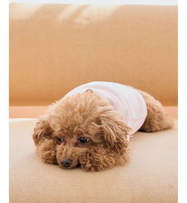 ROPE PICNIC PASSAGE「【DOG】スエットライク刺繍ニット/リンクコーデ」|その他|