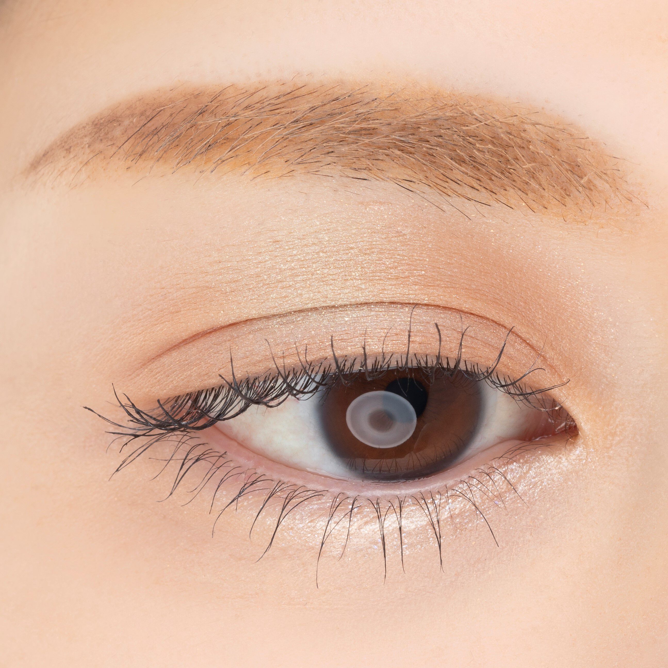 PAUL&JOE「ポール＆ジョー　アイデザインパレット ０２「サマーパレオ」」|アイシャドウ|