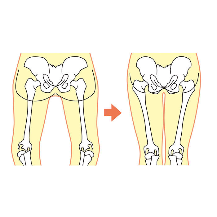 BACKYARD FAMILY「骨盤矯正ベルト 通販 骨盤矯正 コルセット 骨盤ベルト 産後 骨盤 安定 ベルト 3重 産後ケア」|その他|