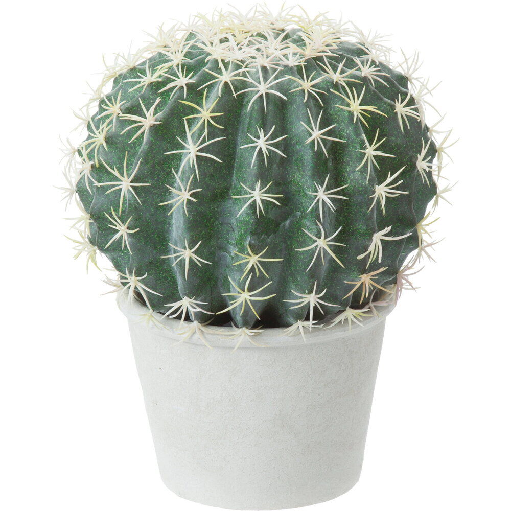 BACKYARD FAMILY「観葉植物 フェイク 大型 通販 フェイクグリーン サボテン アーティフィシャルグリーン」|その他|その他1