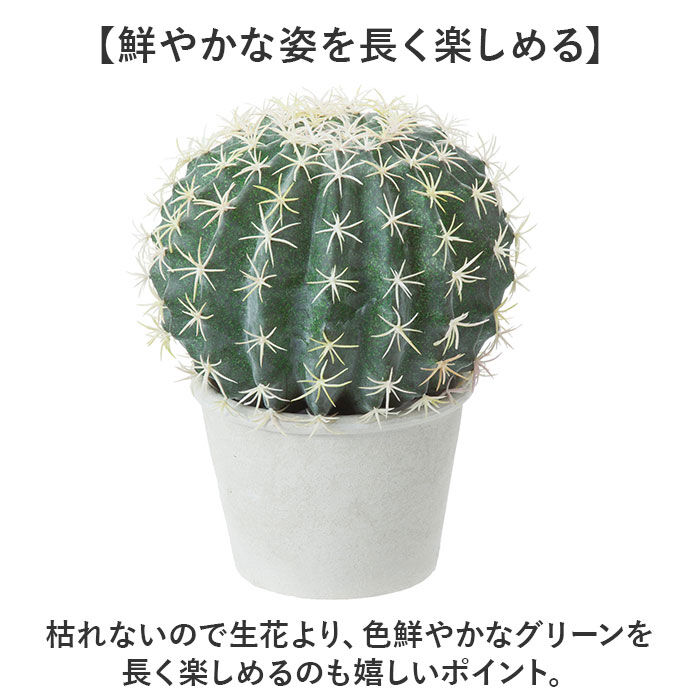 BACKYARD FAMILY「観葉植物 フェイク 大型 通販 フェイクグリーン サボテン アーティフィシャルグリーン」|その他|