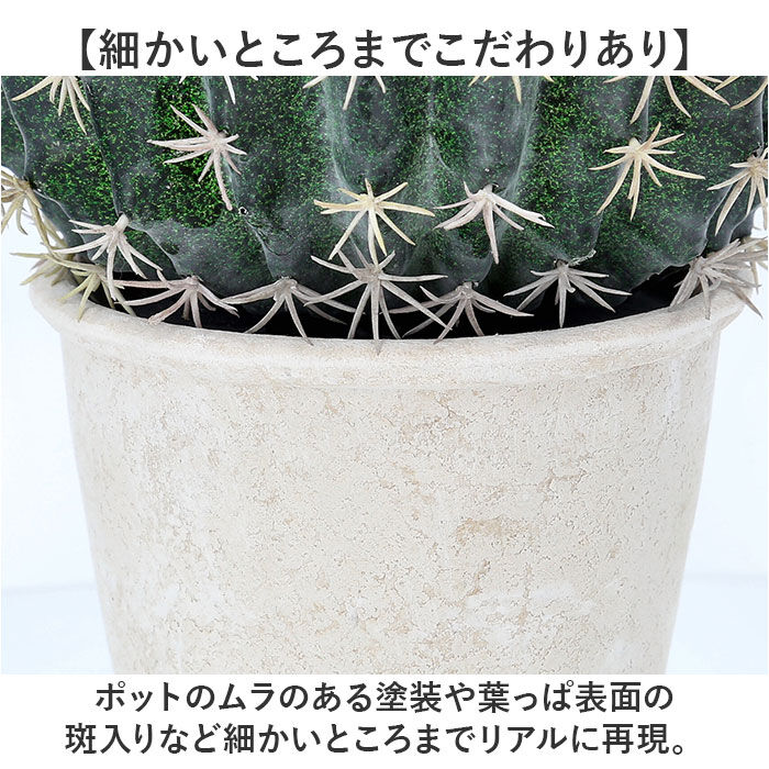 BACKYARD FAMILY「観葉植物 フェイク 大型 通販 フェイクグリーン サボテン アーティフィシャルグリーン」|その他|