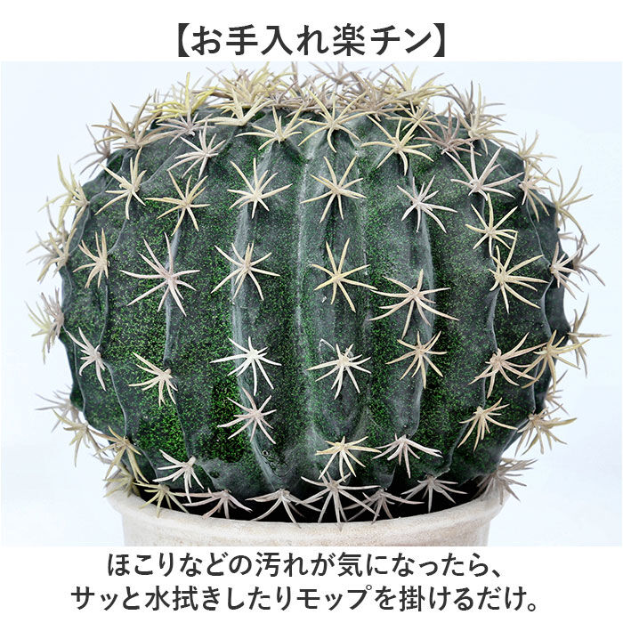 BACKYARD FAMILY「観葉植物 フェイク 大型 通販 フェイクグリーン サボテン アーティフィシャルグリーン」|その他|