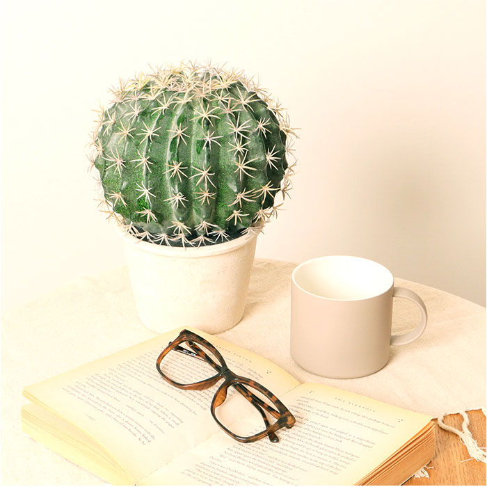 BACKYARD FAMILY「観葉植物 フェイク 大型 通販 フェイクグリーン サボテン アーティフィシャルグリーン」|その他|