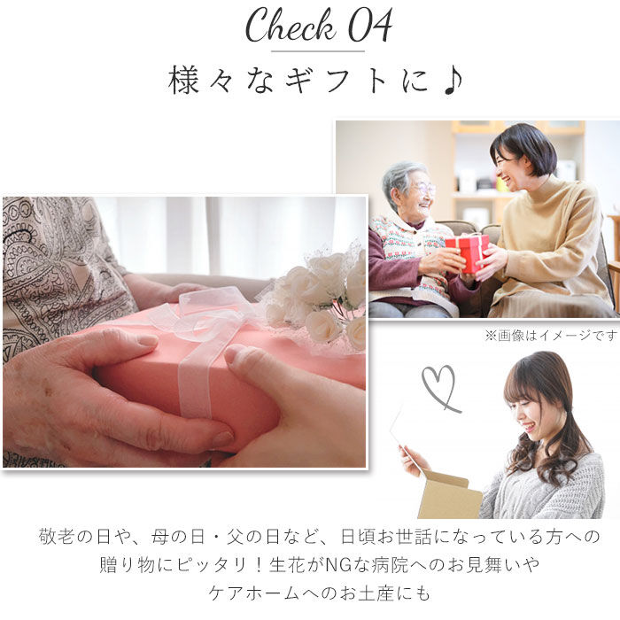 BACKYARD FAMILY「アーティフィシャル 通販 アニマル ミニ 人形 ディスプレイ用 クリアケース入り 置き型 バラ」|その他|