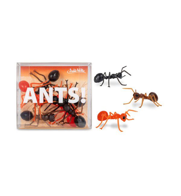 BEAMS「Archie McPhee / Ants!」|その他|-