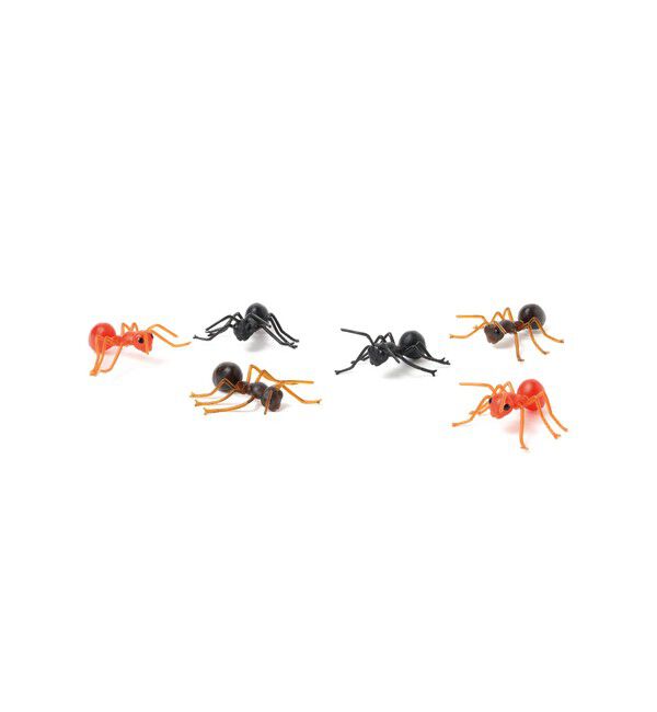 BEAMS「Archie McPhee / Ants!」|その他|