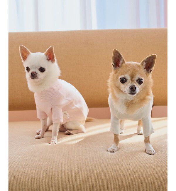 ROPE PICNIC PASSAGE「【DOG】スエットライク刺繍ニット/リンクコーデ」|その他|