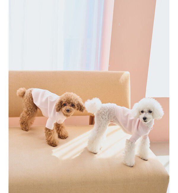 ROPE PICNIC PASSAGE「【DOG】スエットライク刺繍ニット/リンクコーデ」|その他|