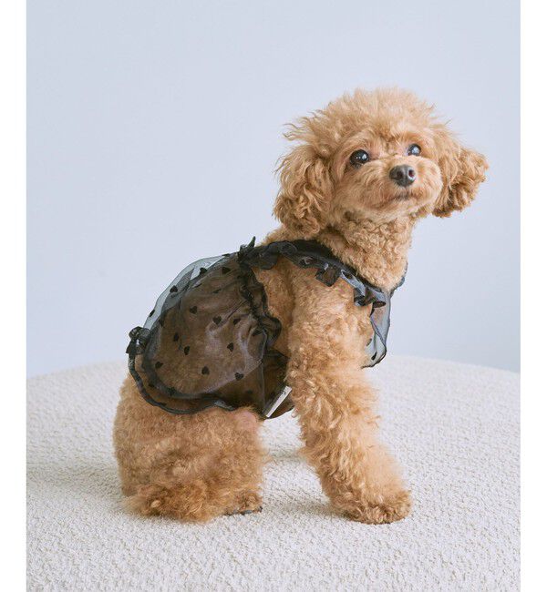 ROPE PICNIC PASSAGE「【DOG】シアーハート柄キャミソール」|その他|