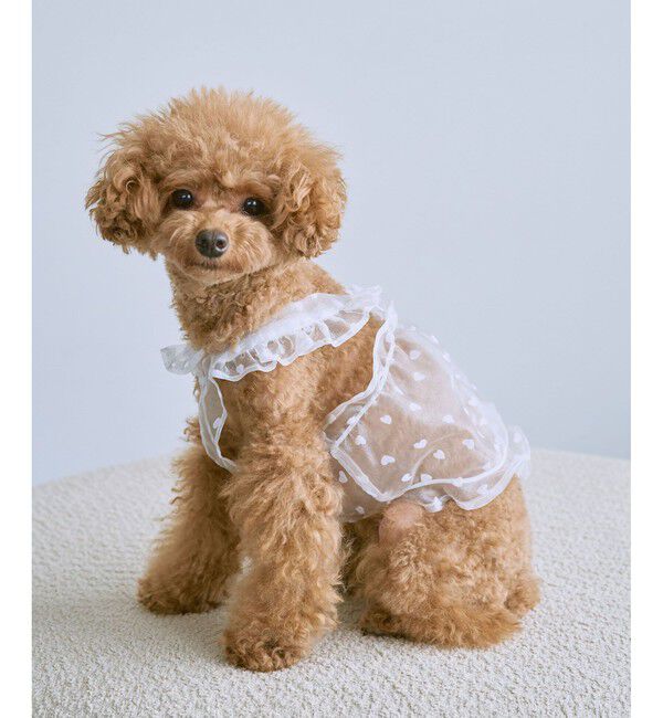 ROPE PICNIC PASSAGE「【DOG】シアーハート柄キャミソール」|その他|