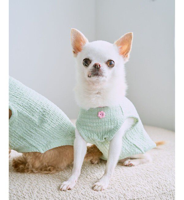 ROPE PICNIC PASSAGE「【DOG】パイピングタンクトップ」|その他|黄緑