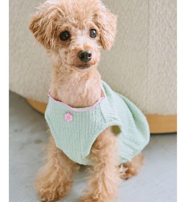 ROPE PICNIC PASSAGE「【DOG】パイピングタンクトップ」|その他|