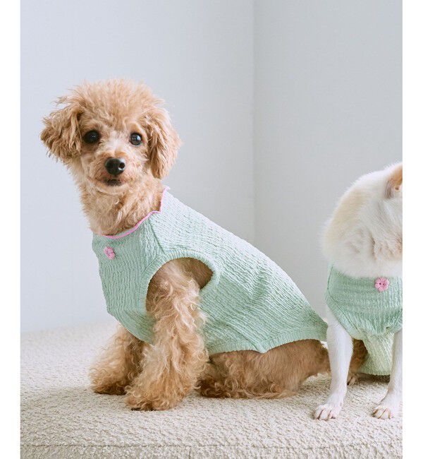 ROPE PICNIC PASSAGE「【DOG】パイピングタンクトップ」|その他|