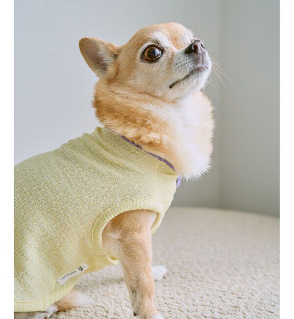 ROPE PICNIC PASSAGE「【DOG】パイピングタンクトップ」|その他|