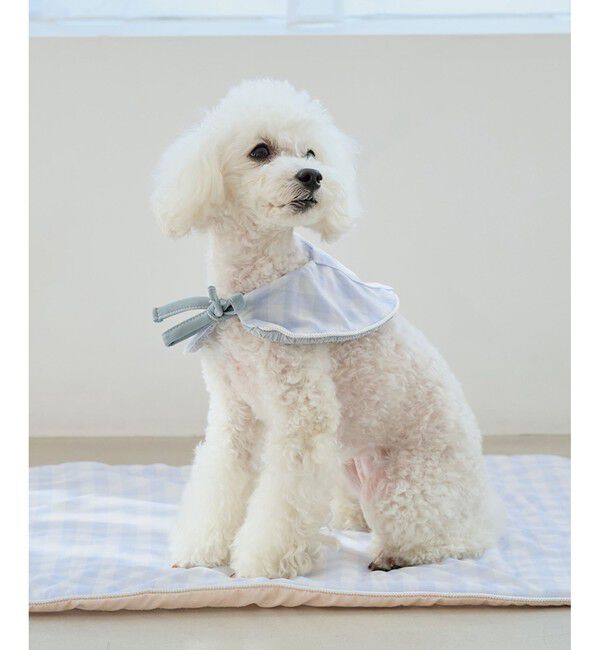 ROPE PICNIC PASSAGE「【DOG】ひんやりスタイ」|その他|