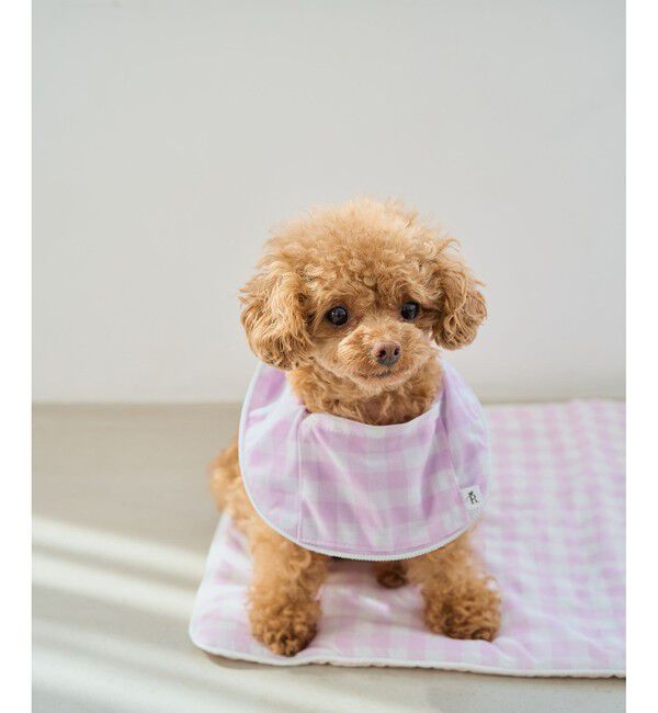 ROPE PICNIC PASSAGE「【DOG】ひんやりスタイ」|その他|