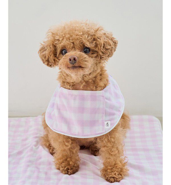 ROPE PICNIC PASSAGE「【DOG】ひんやりスタイ」|その他|