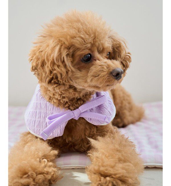 ROPE PICNIC PASSAGE「【DOG】ひんやりスタイ」|その他|ラベンダー系(53)