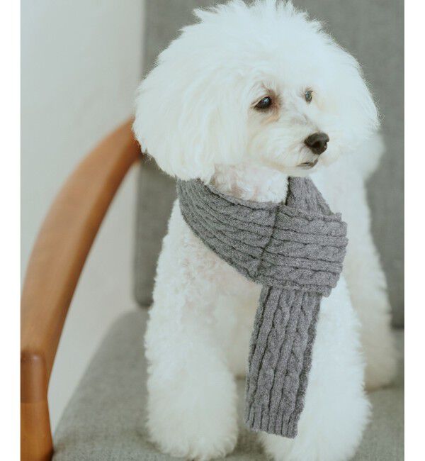 ROPE PICNIC PASSAGE「【DOG】ケーブル編みニットマフラー」|その他|グレー(07)