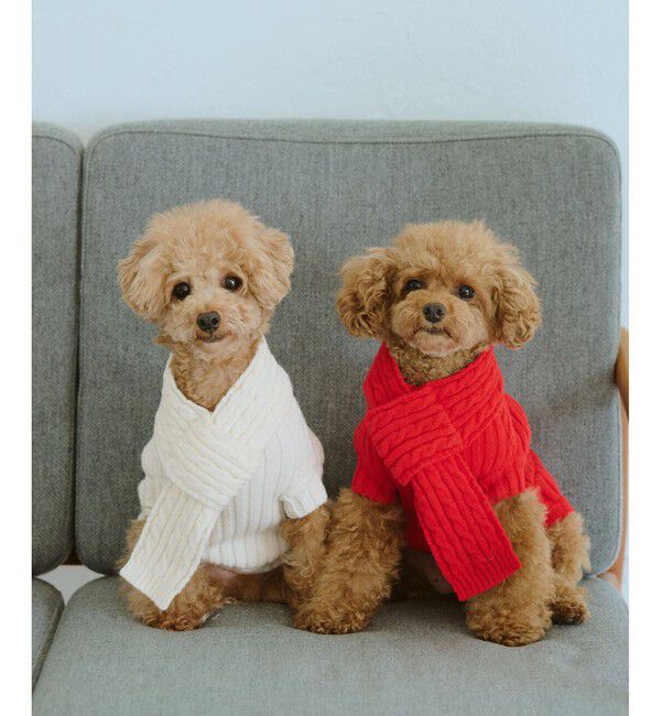 ROPE PICNIC PASSAGE「【DOG】ケーブル編みニットマフラー」|その他|