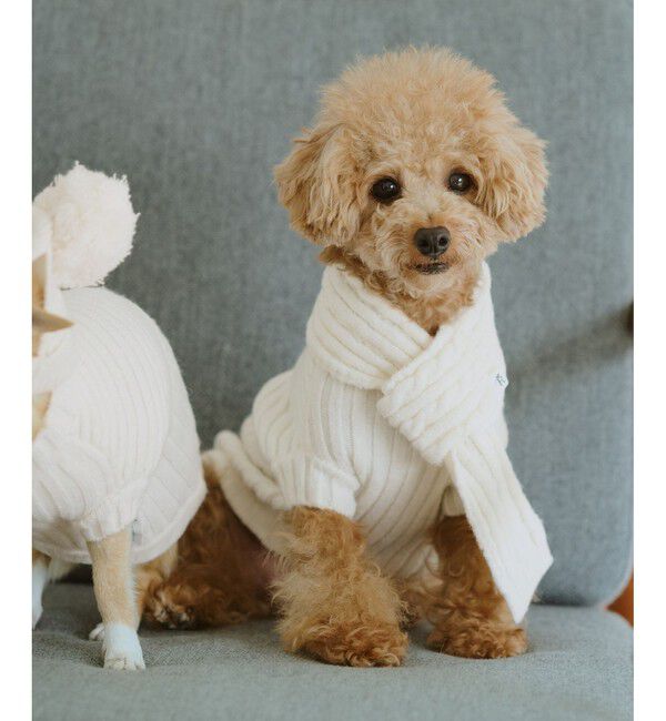 ROPE PICNIC PASSAGE「【DOG】ケーブル編みニットマフラー」|その他|オフホワイト(15)