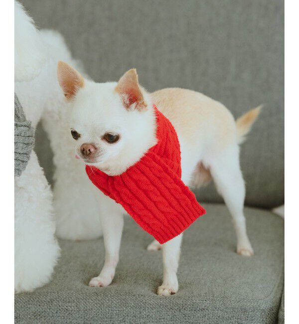ROPE PICNIC PASSAGE「【DOG】ケーブル編みニットマフラー」|その他|レッド(60)