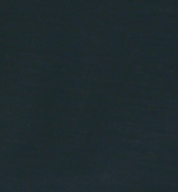 The Store by C' 「【COCUCA】シアージャージタートルプルオーバー」|Tシャツ・カットソー|