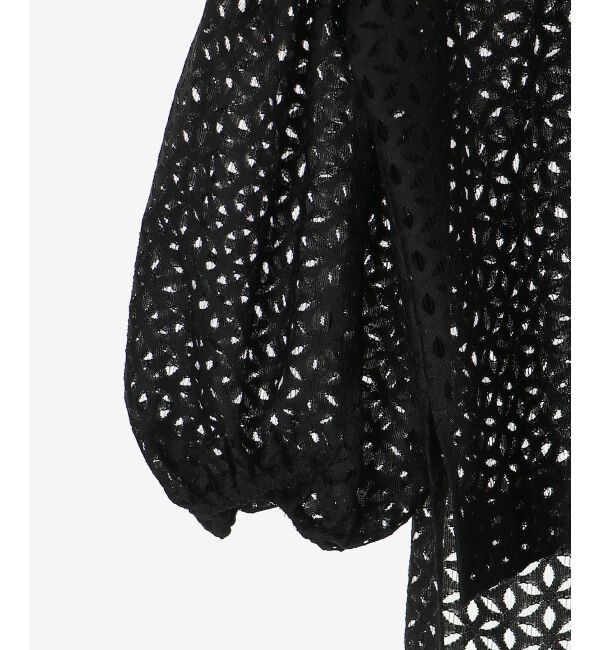 le.coeur blanc「《手洗い可能》TORRAZZO DONNA 別注レースブラウス」|シャツ・ブラウス|