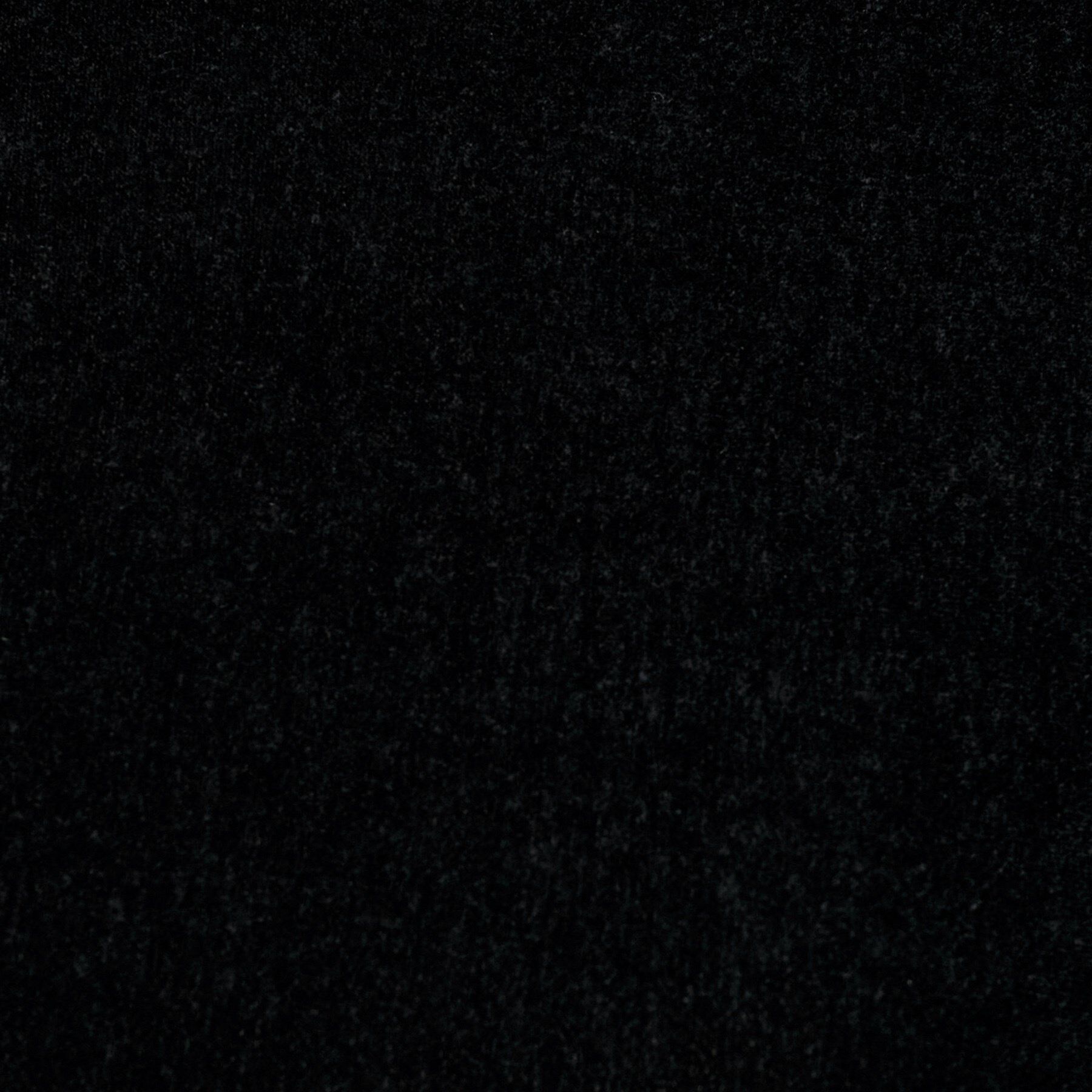 UNTITLED「【ハイネック/レイヤード/重ね着におすすめ】トリコットベロア シアーインナー」|Tシャツ・カットソー|