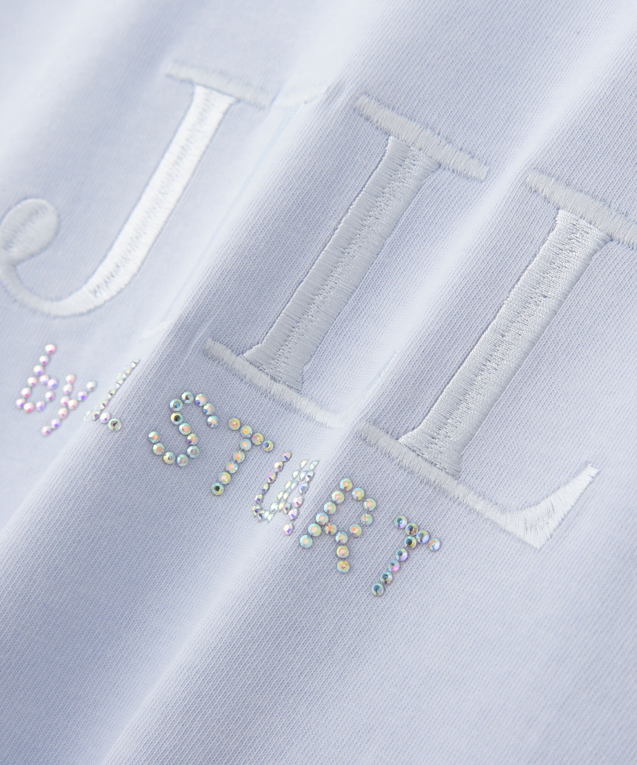  「オーガニックコットン刺繍＆ホットフィットロゴTシャツ」|Tシャツ・カットソー|