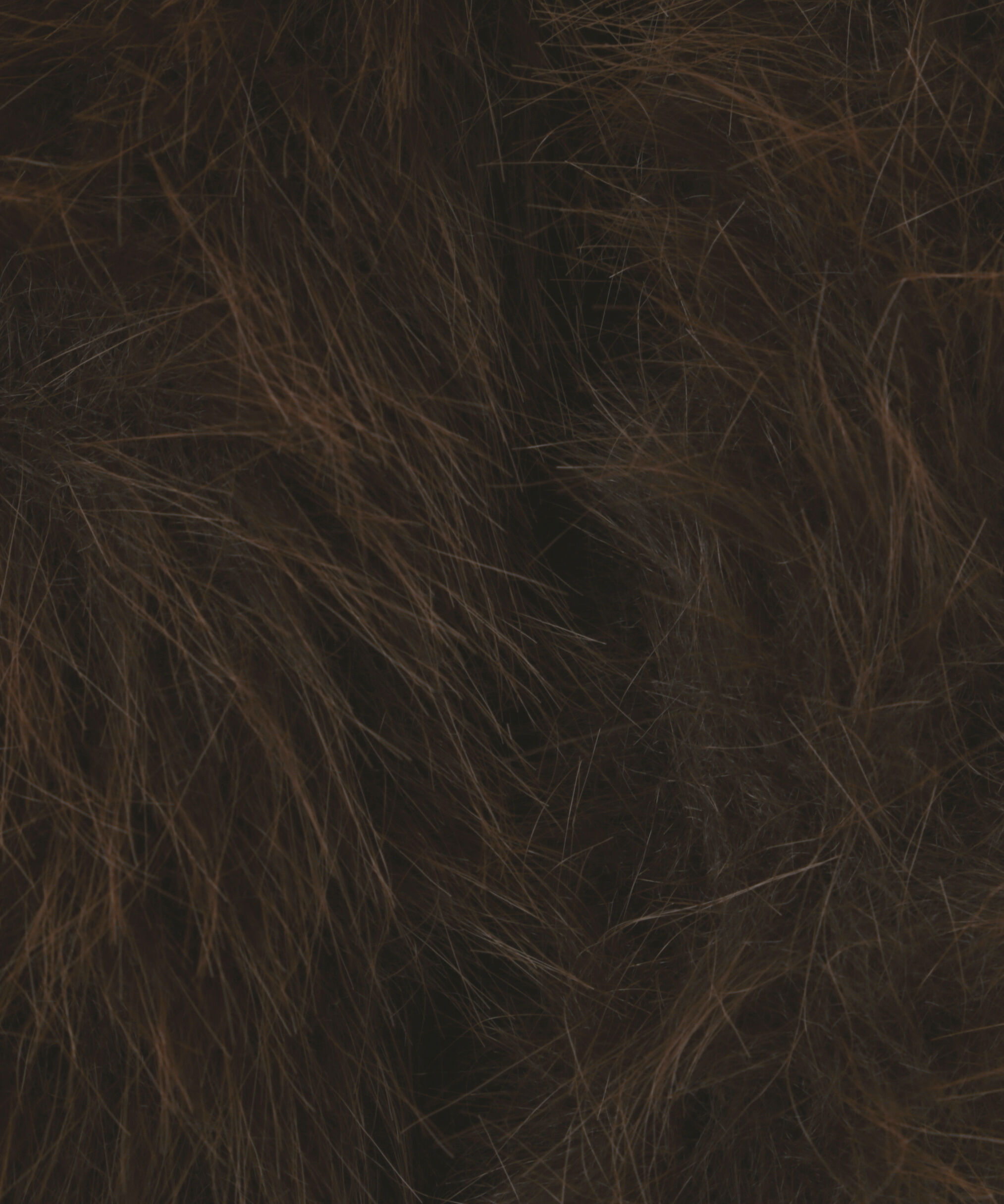 PROPORTION BODY DRESSING「モッサフードフェイクファーショートコート 25AW」|ブルゾン・スタジャン|