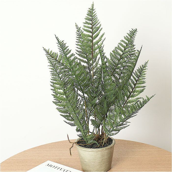 BACKYARD FAMILY「観葉植物 フェイク 大型 通販 フェイクグリーン アーティフィシャルグリーン インテリアグリーン」|その他|