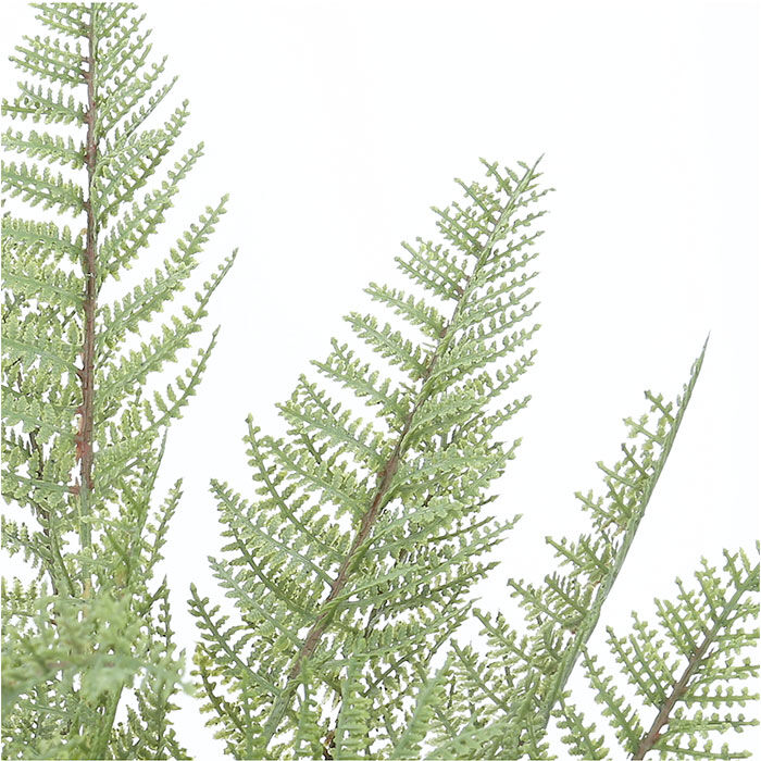 BACKYARD FAMILY「観葉植物 フェイク 大型 通販 フェイクグリーン アーティフィシャルグリーン インテリアグリーン」|その他|