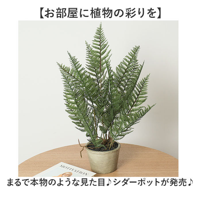 BACKYARD FAMILY「観葉植物 フェイク 大型 通販 フェイクグリーン アーティフィシャルグリーン インテリアグリーン」|その他|