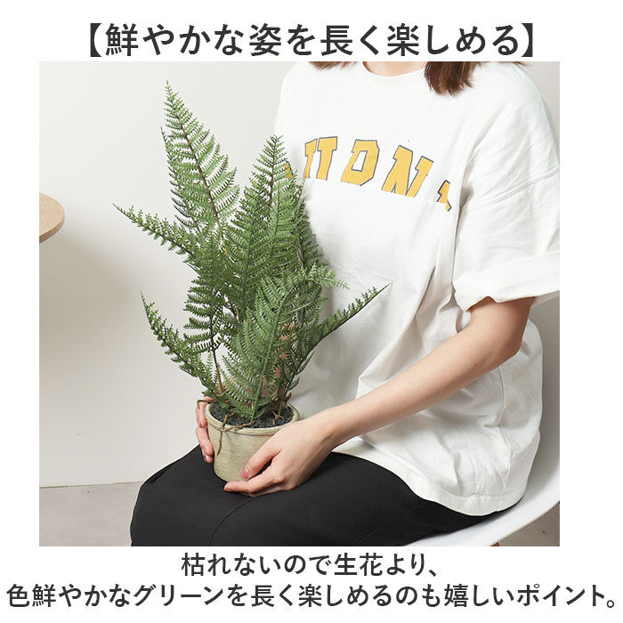 BACKYARD FAMILY「観葉植物 フェイク 大型 通販 フェイクグリーン アーティフィシャルグリーン インテリアグリーン」|その他|