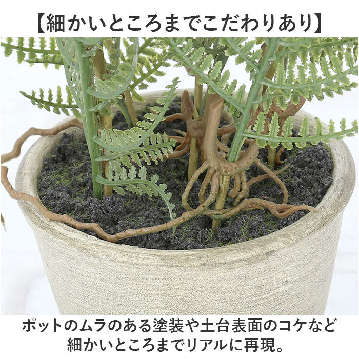 BACKYARD FAMILY「観葉植物 フェイク 大型 通販 フェイクグリーン アーティフィシャルグリーン インテリアグリーン」|その他|