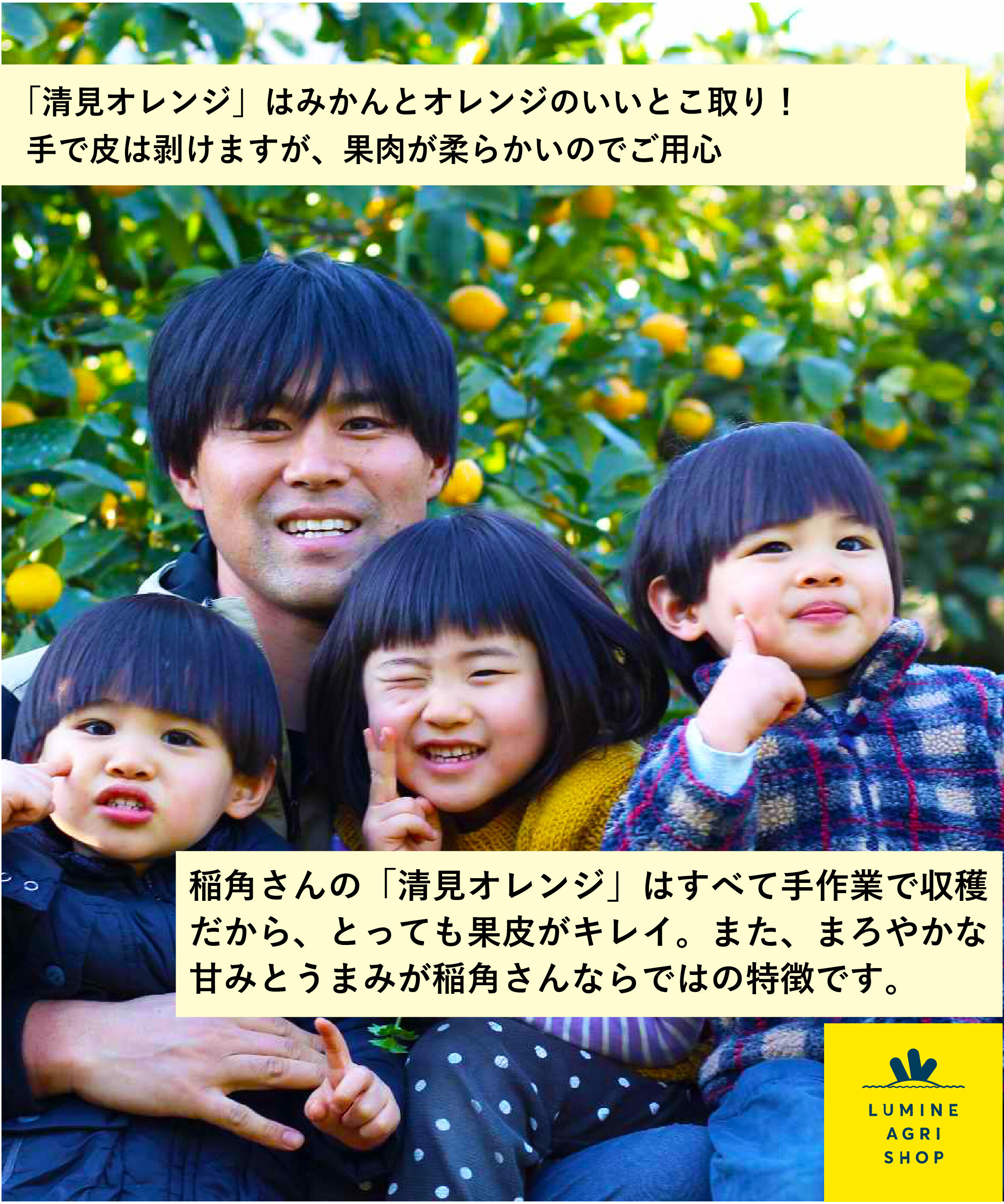LUMINE AGRI SHOP「【L-FARMERS】稲角さん家の広島県産清見オレンジ1.5kg」|果物・野菜|