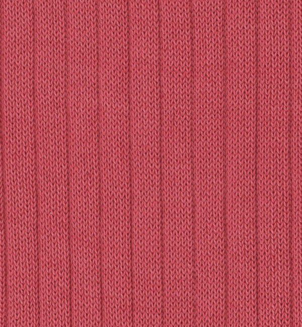 UNITED ARROWS green label relaxing「【別注】＜ADRIAN＞GLR リブ ソックス」|ソックス|