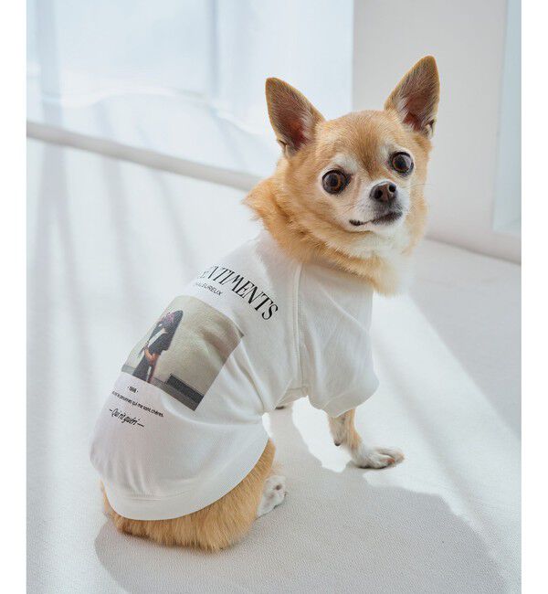 ROPE PICNIC PASSAGE「【DOG】RENUフォト&ロゴTシャツ/リンクコーデ」|その他|